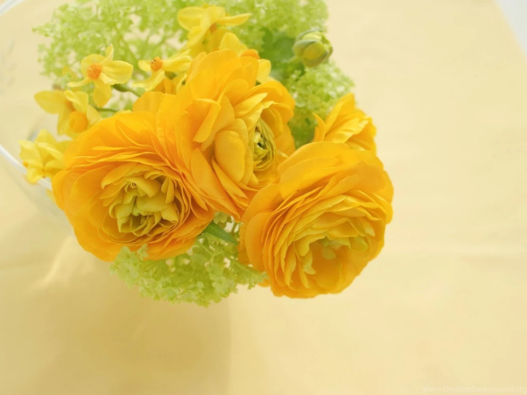 New 20 Best Colorful Rose Wallpapers Collection
