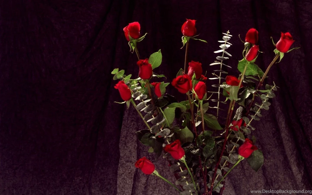 1440x900 Bunch Of Red Roses Desktop PC And Mac Wallpapers
