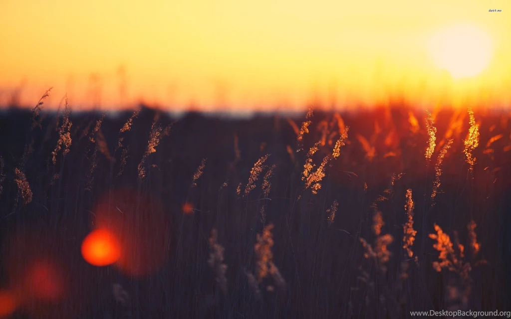 Vintage Landscape Wallpapers And Desktop