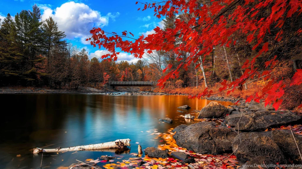 Bridge Over The River, Autumn Landscape 3840x2160 4K 16/9 ...