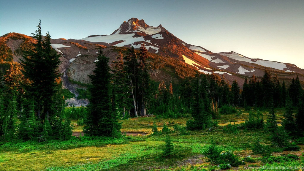 Download Wallpapers 3840x2160 Mountains, Trees, Eating, Nature ...