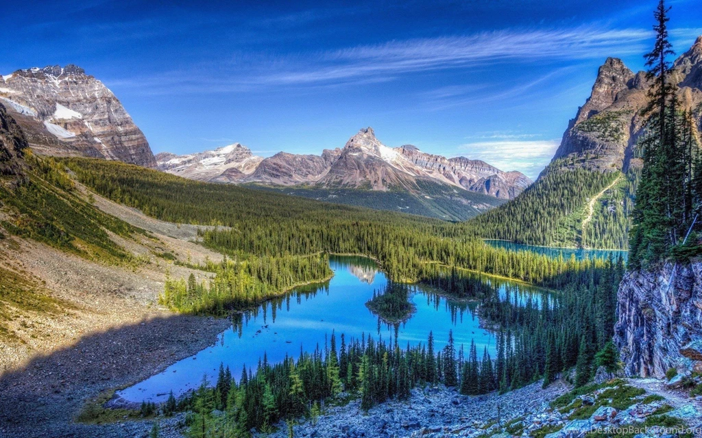 Mountain Forest Landscape 4k Wallpapers