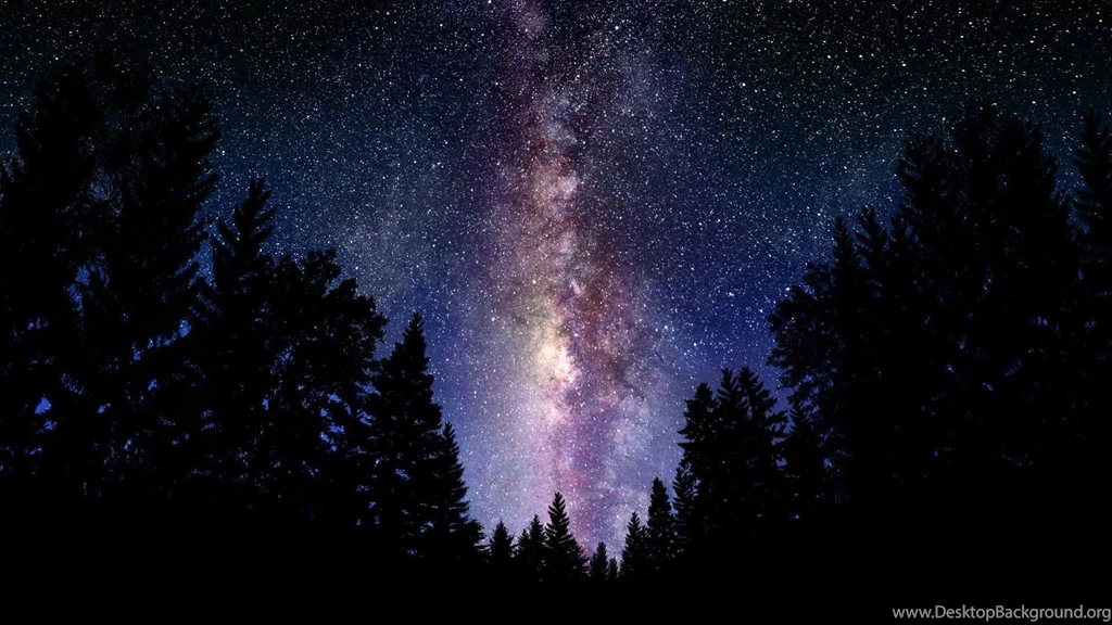 Sky Galaxy Milky Way Forest Pics About Space