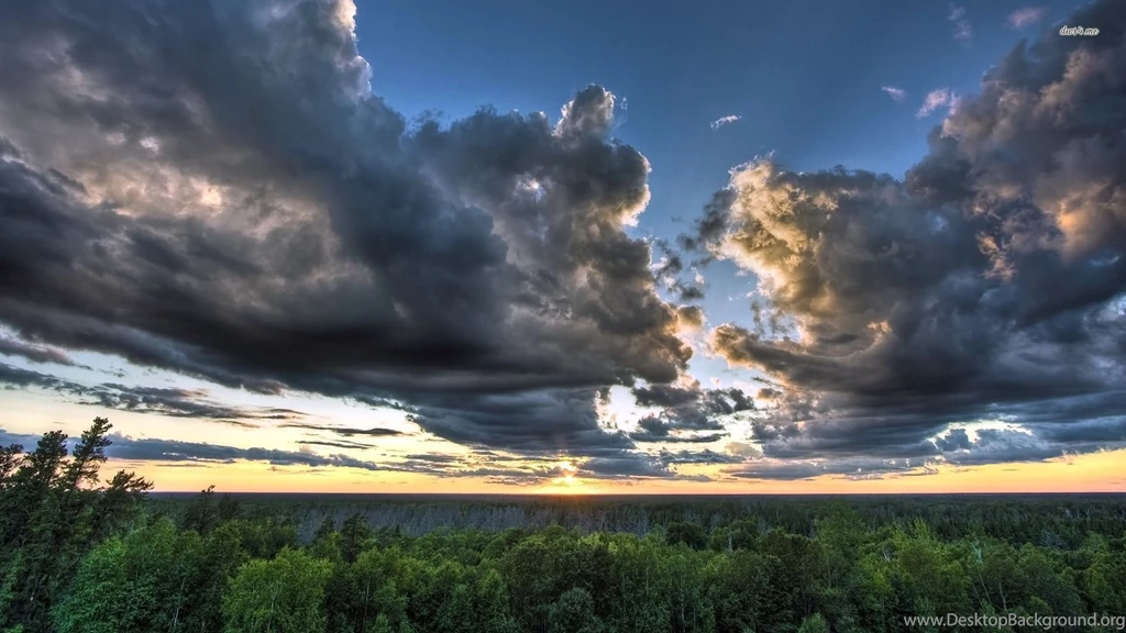 Cloudy Sky Over The Forest, Hill, Tree, Nature, 1920x1080 HD ...