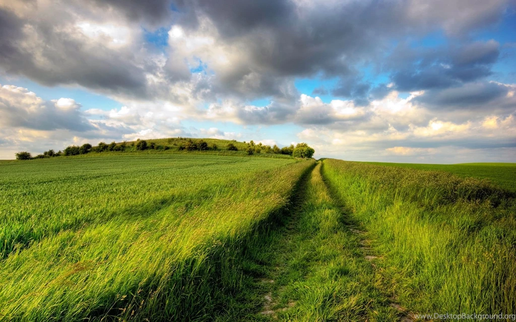 Road In The Fields Wallpapers