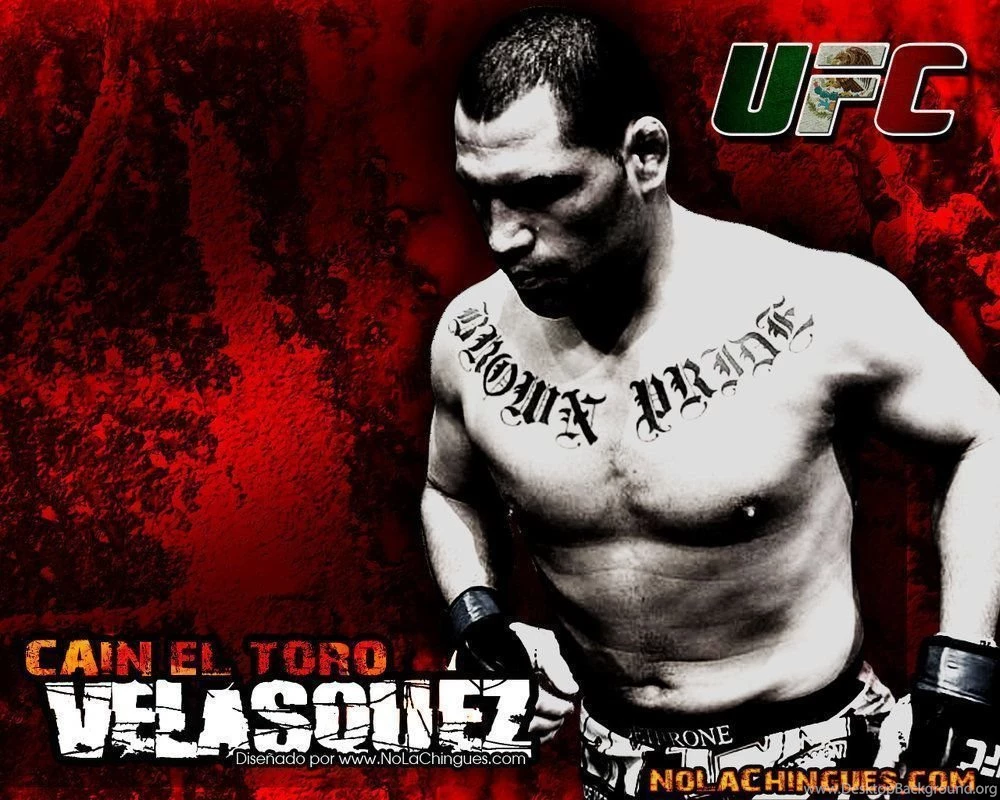 Cain Velasquez   Wallpapers By Daniel tj On DeviantArt
