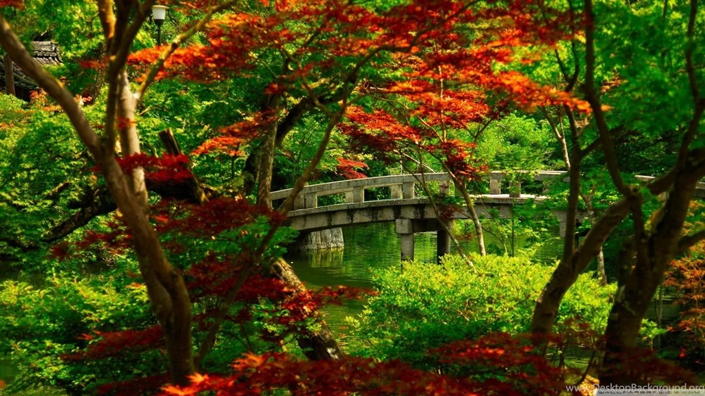 Japanese Garden (Kyoto) HD Desktop Wallpapers : Widescreen : High ...