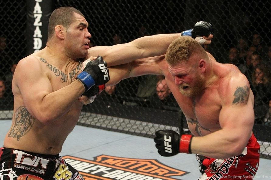 WWE Cain Velasquez Page 8