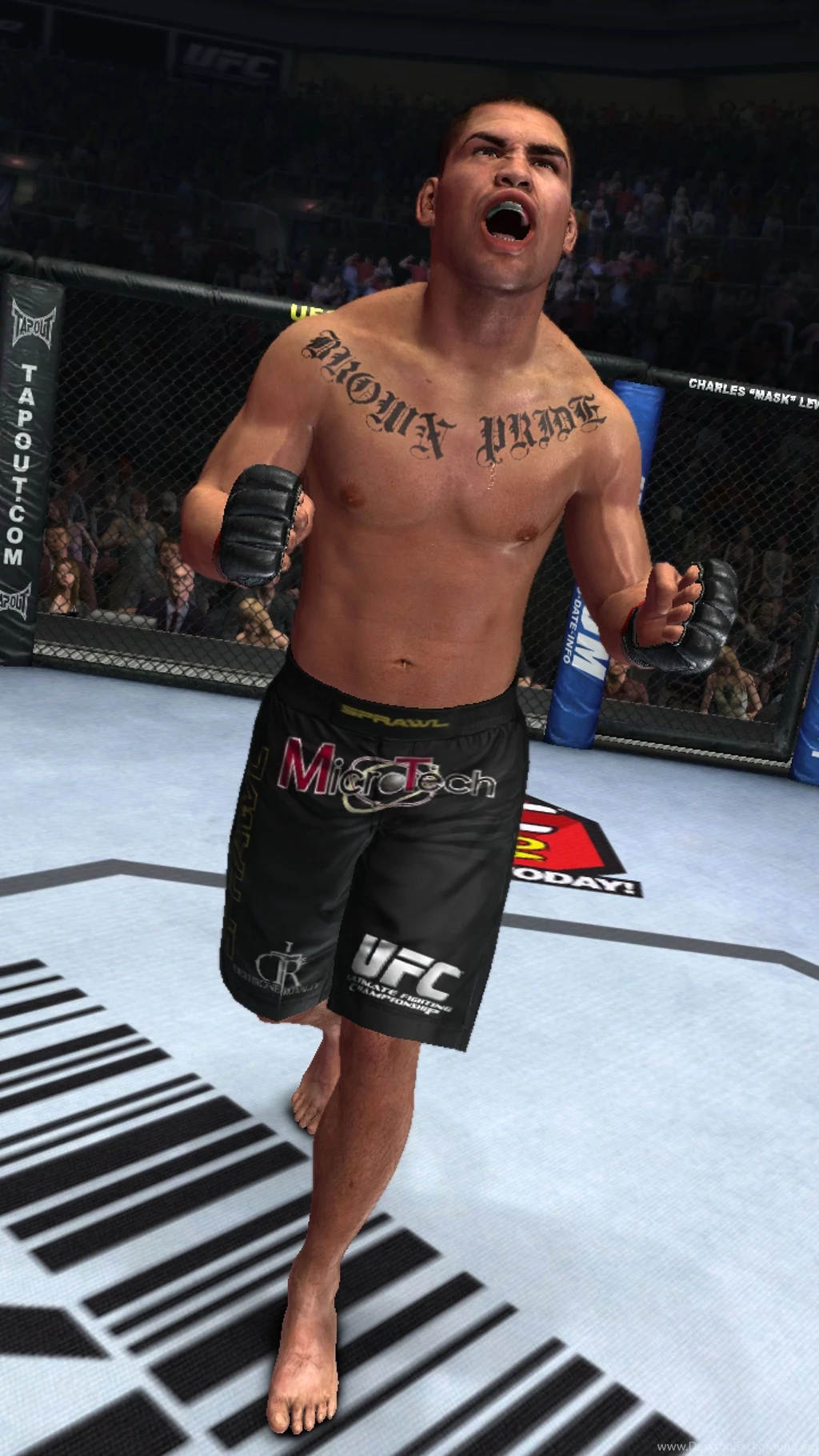 Cain_velasquez_topps_0019.jpg