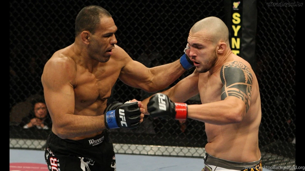 Top Cain Vs Fabricio Wallpaper Images For Pinterest