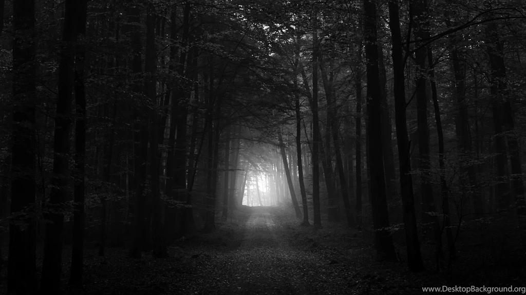 Dark Forest Wallpapers 11 Cool Hd Wallpapers Hdnaturewall.com