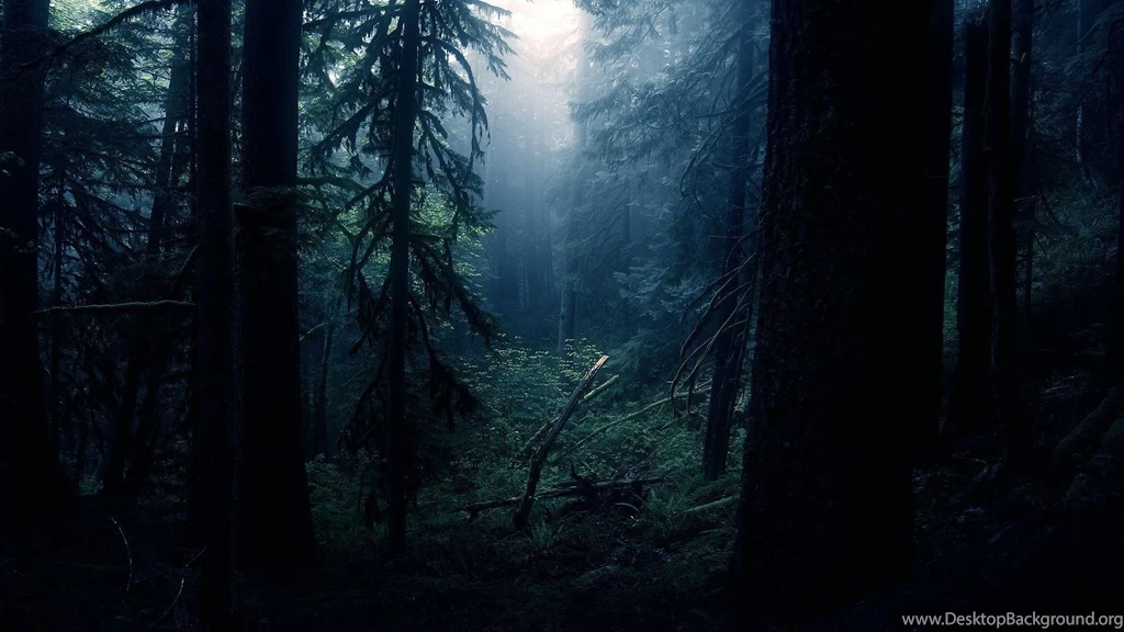 Dark Forest Wallpapers High Resolution Desktop Background