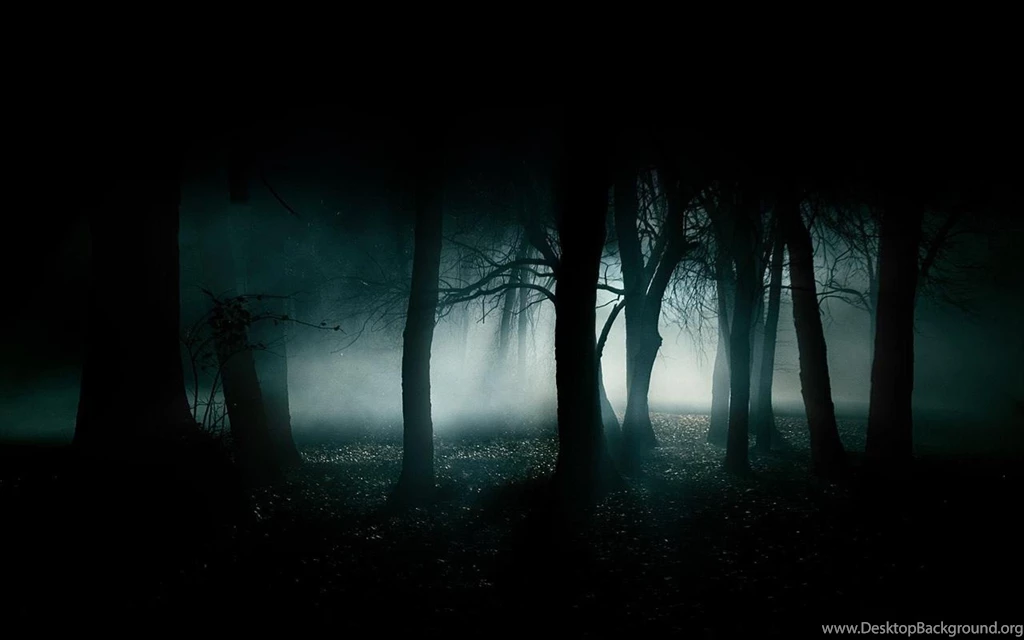 Dark Forest Wallpapers