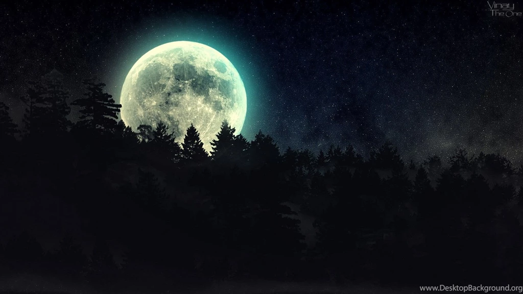 3029) Dark Forest Moon Wallpapers Ideas WalOps.com
