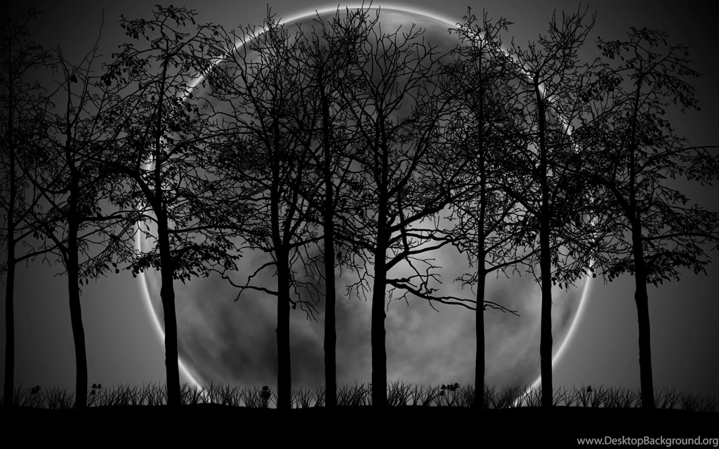 2930) Dark Forest Moon Wallpapers WalOps.com