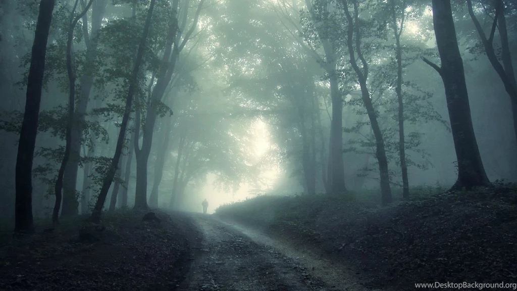 Forest Computer Wallpapers, Desktop Backgrounds