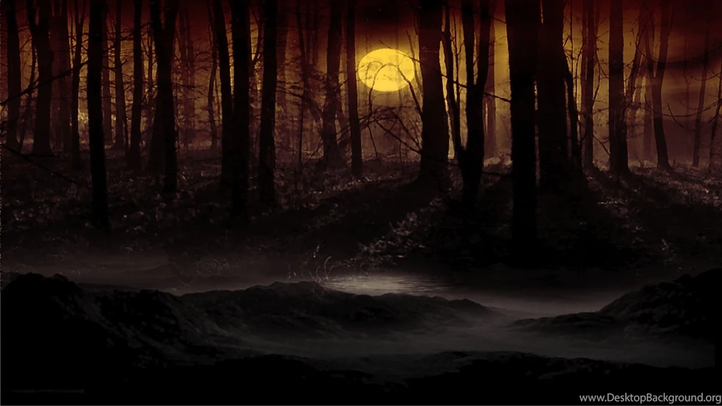3113) Dark Wolf HD Images Wallpapers WalOps.com