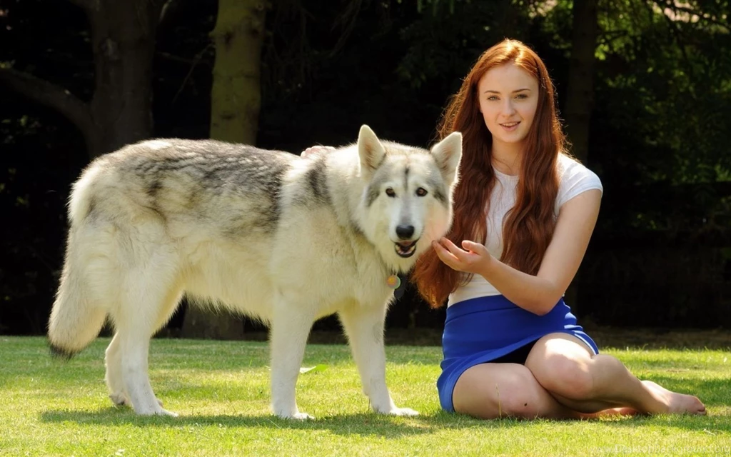 27 Sophie Turner HD Wallpapers Backgrounds CelebWP.com