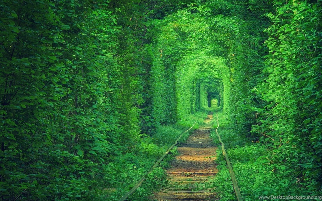 Green Backgrounds HD Downloads