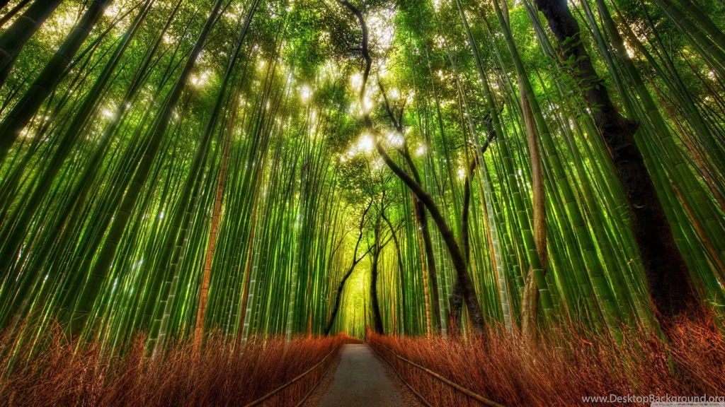 Fonds D'écran Hd : Tous Les Wallpapers Hd