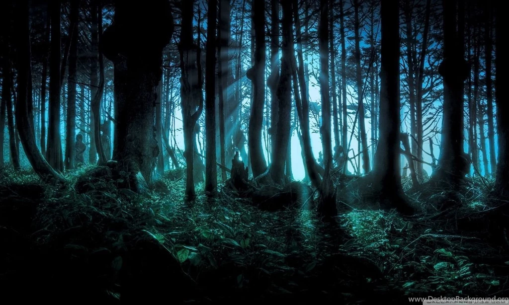Mysterious Forest HD Desktop Wallpapers : Widescreen : High ...