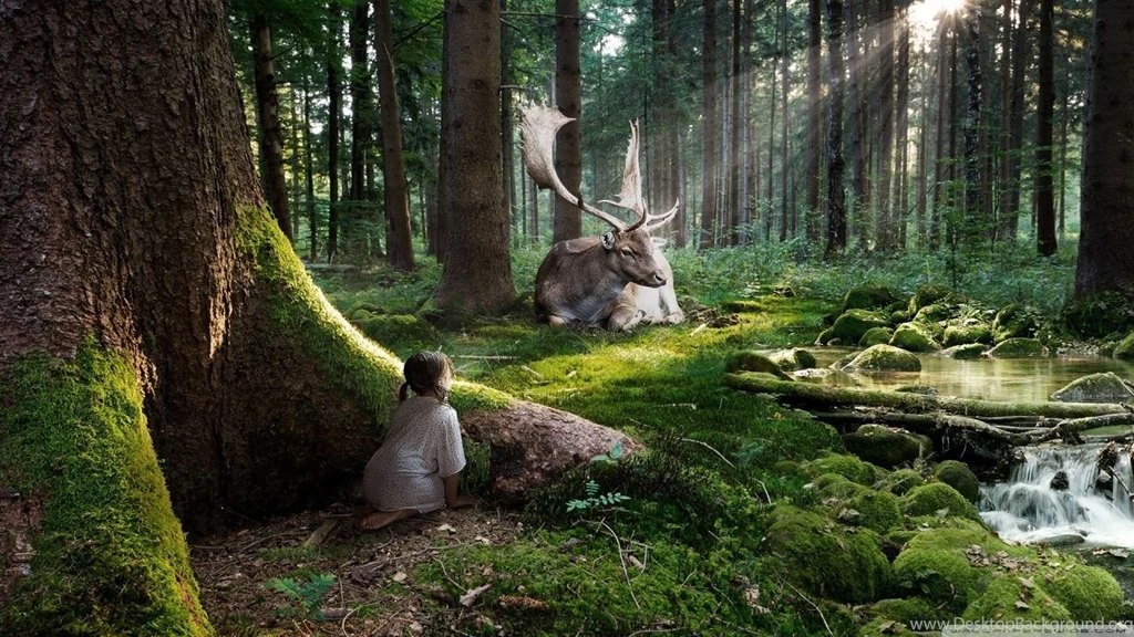 Fairytale Forest HD Desktop Wallpapers : Widescreen : High ...