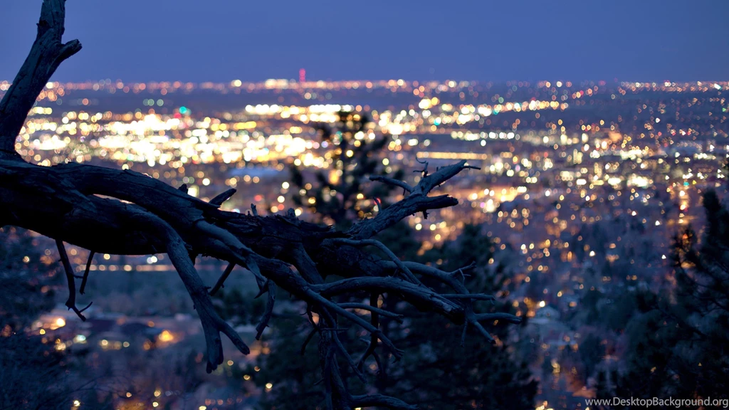 Dry Tree With The City Lights In Backgrounds Uhd Wallpapers Ultra ...