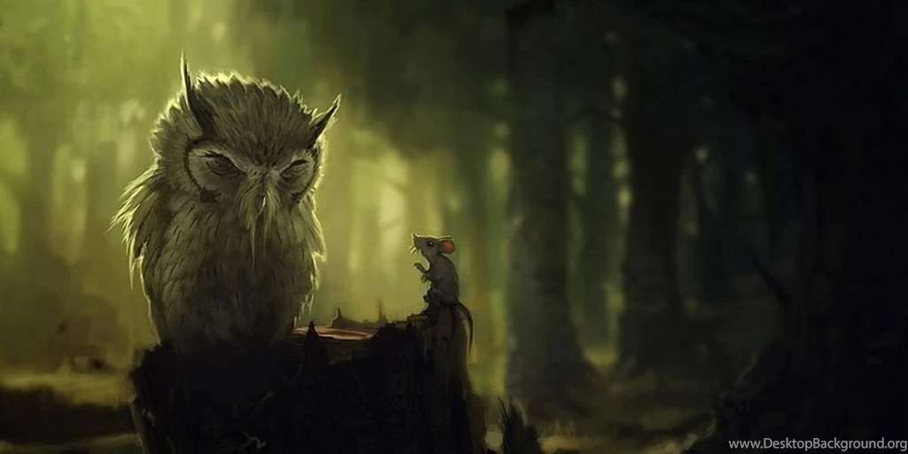 Owl Twitter Cover & Twitter Backgrounds