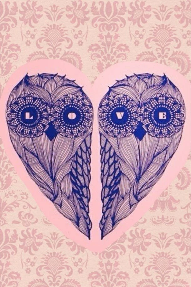 Top Girly Owl Background Images For Pinterest