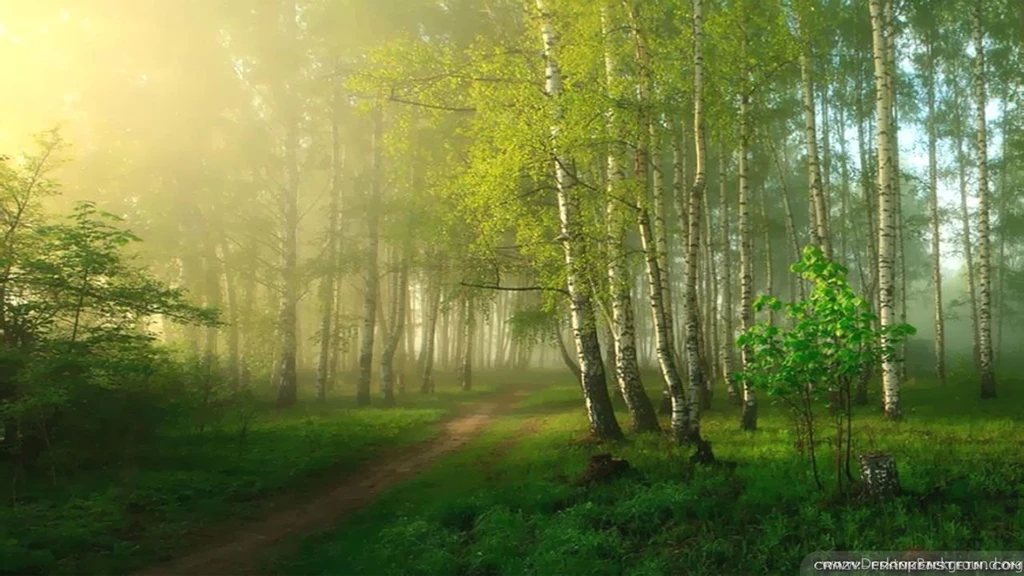 Spring Nature Wallpapers   Crazy Frankenstein