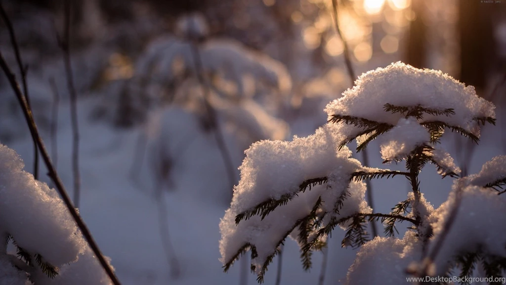 Winter Archives HD Wallpapers Source