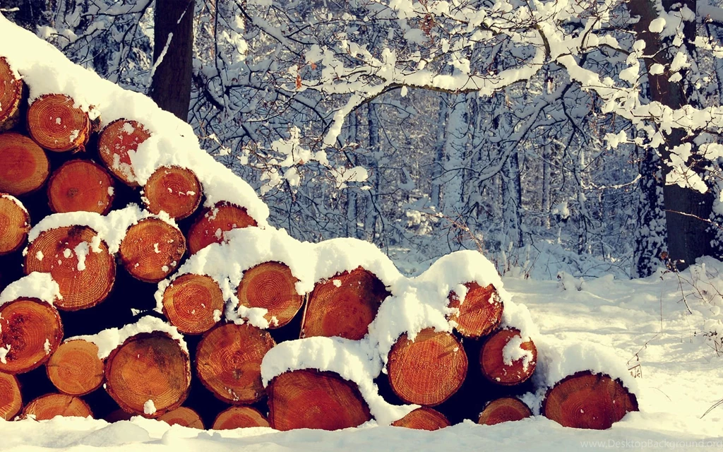 Theme Bin» Blog Archive » Winter Comes HD Wallpapers