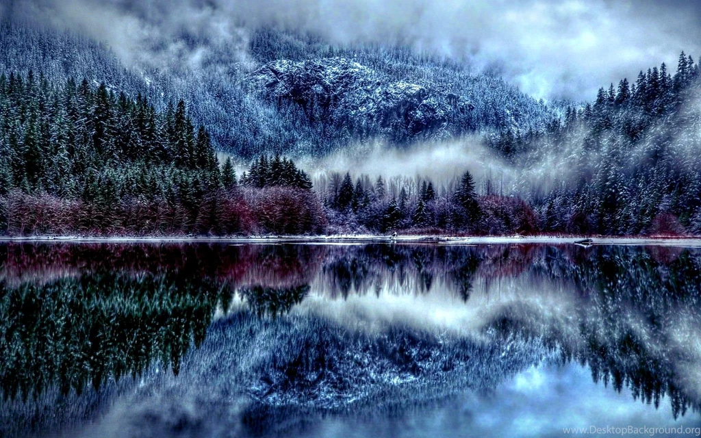 Winter Forest HD Wallpaper, Winter Forest Pictures, New Wallpapers