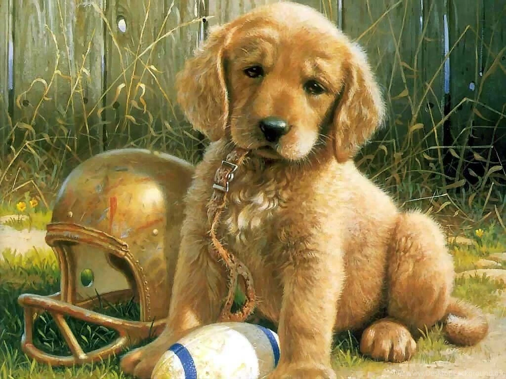 Top Desktop Puppy 13 Images For Pinterest