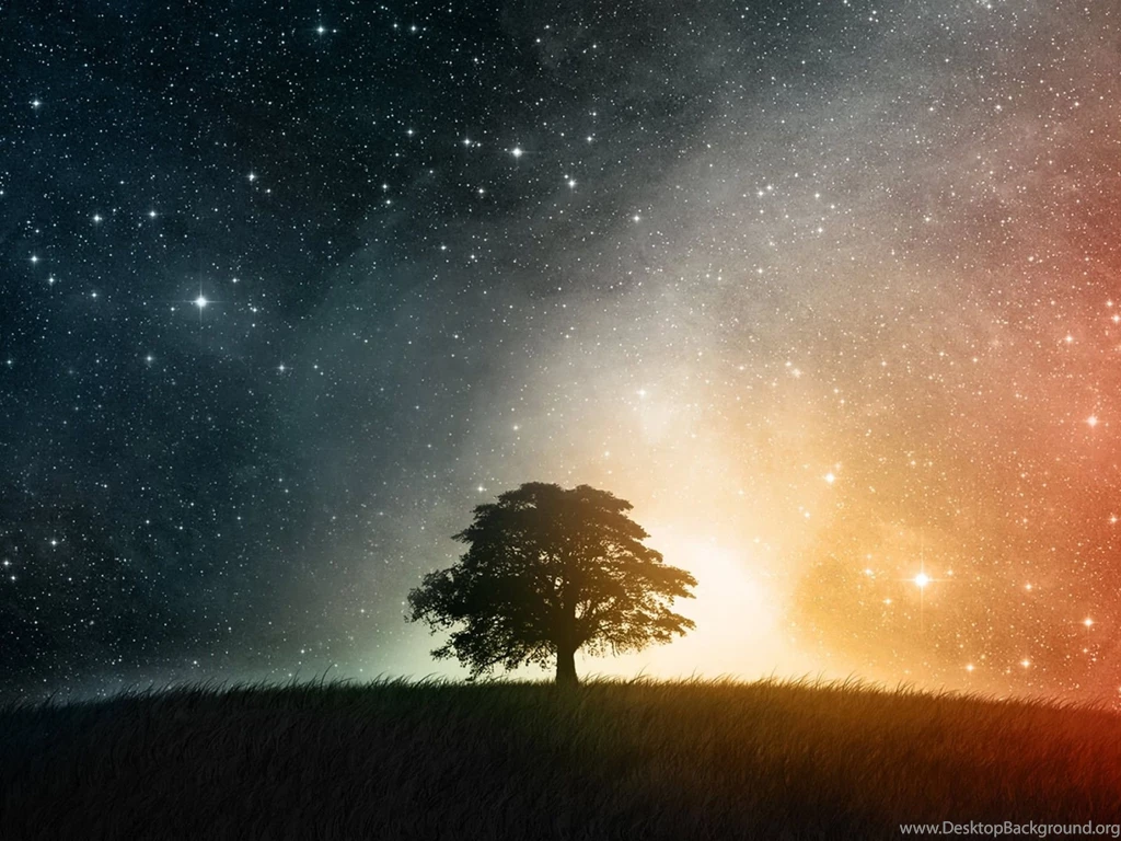 Top Sky Night Tree Starry Images For Pinterest