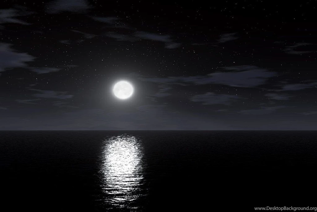 Beautiful Night Sky