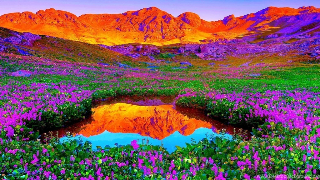 Nature Hd Wallpapers