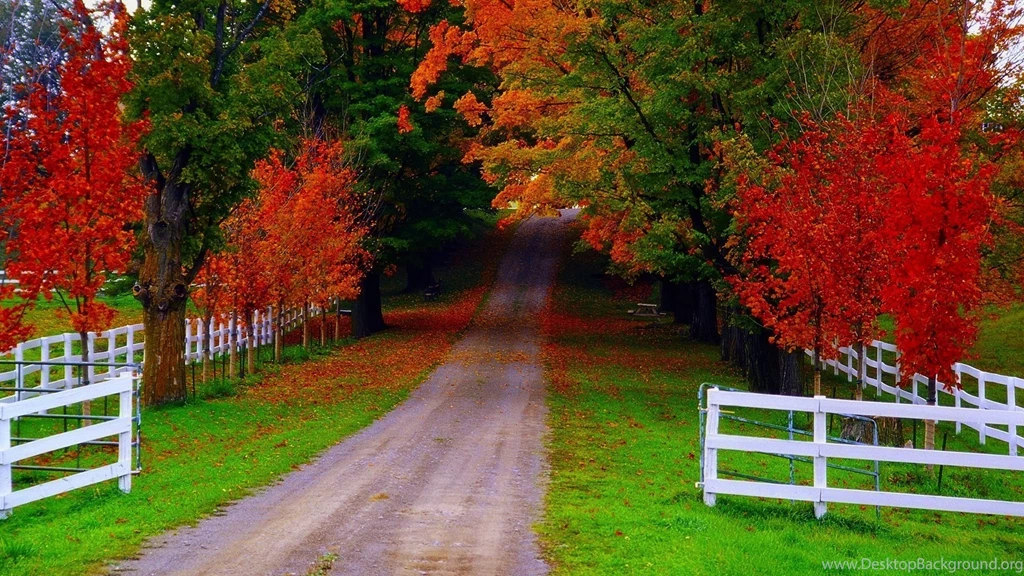 HD Nature Wallpapers – World HD Wallpapers