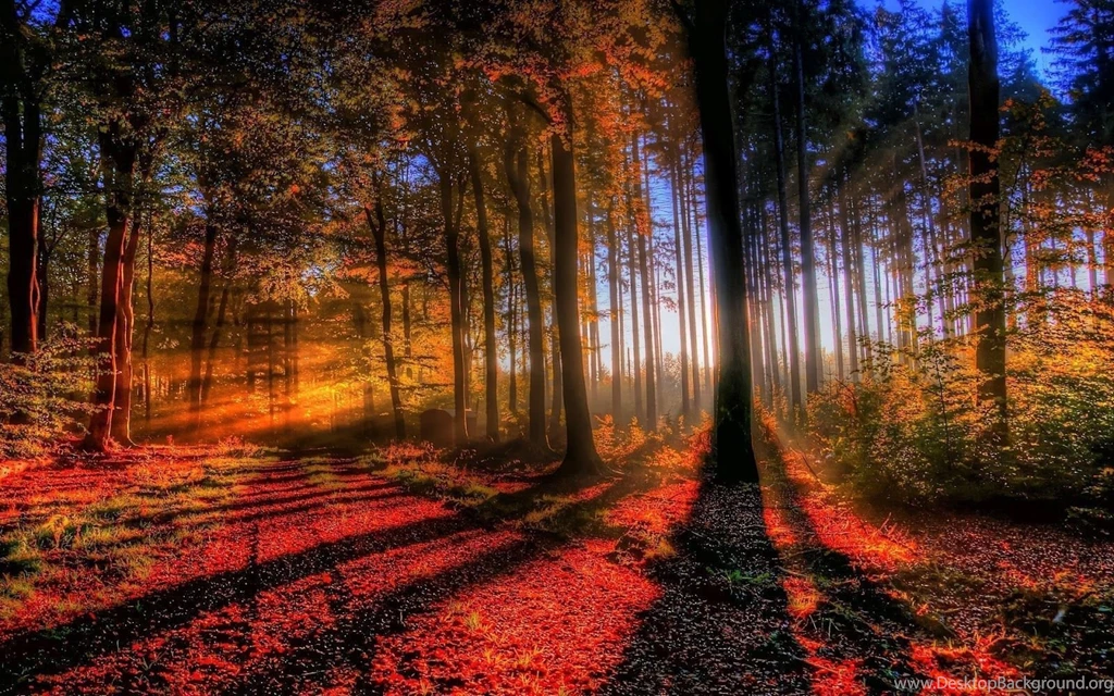 Nature Wallpapers HD 2015