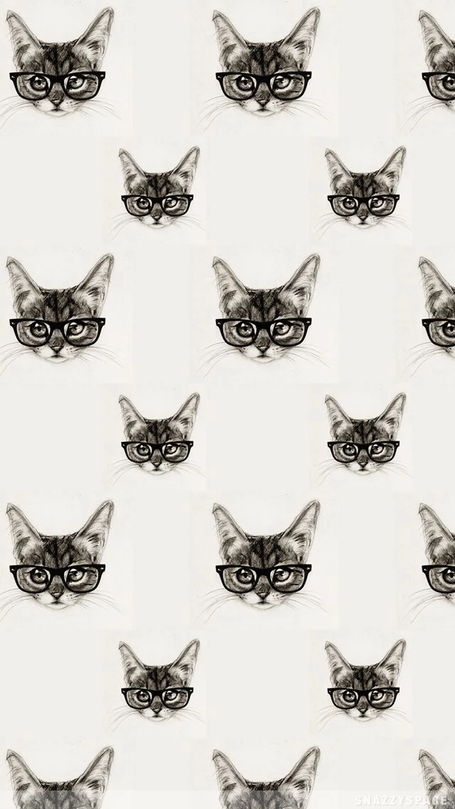 Nerd Cat Iphone Wallpapers Desktop Background