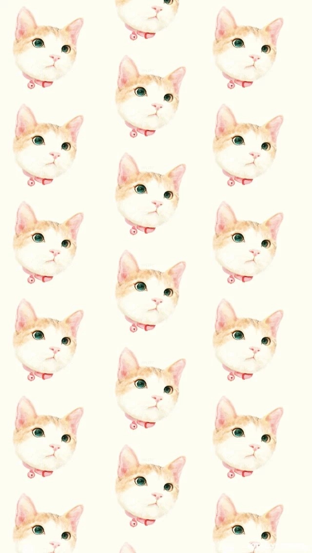 Cutest_cat_heads.png