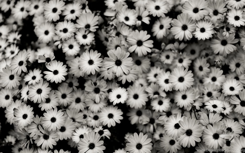 Black And White Wallpapers