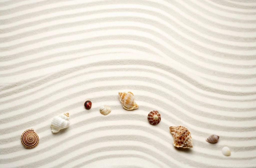 5 beach sand sea shell wallpaper.jpg