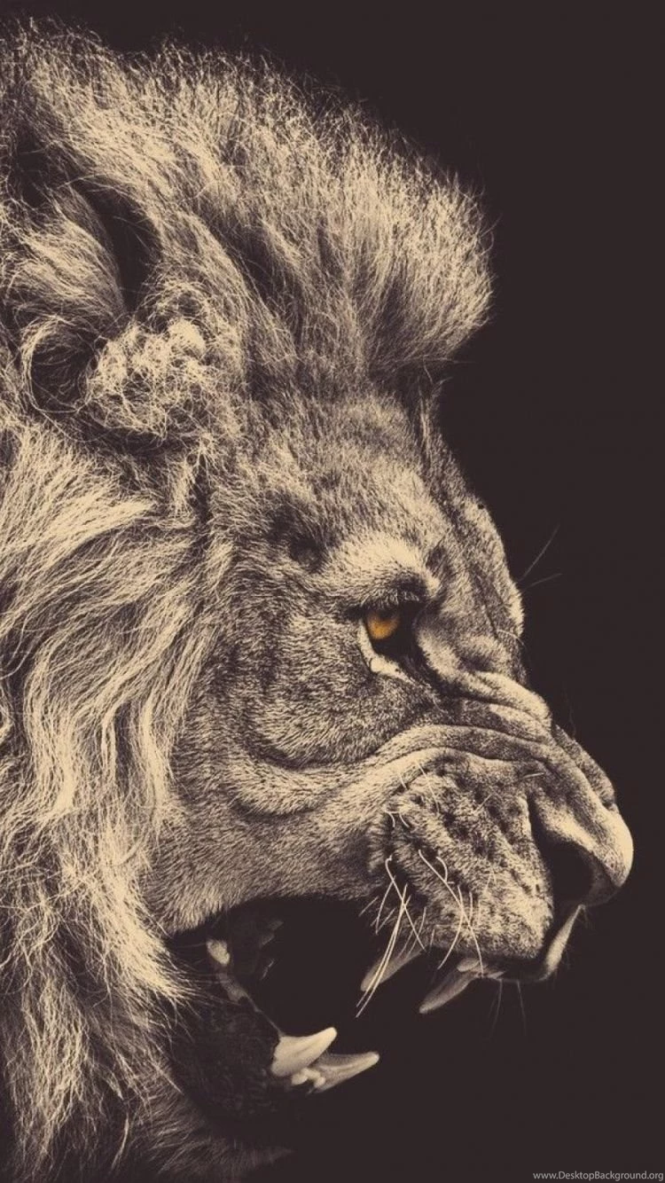 iPhone 6 Lion Wallpapers HD, Desktop Backgrounds 750x1334