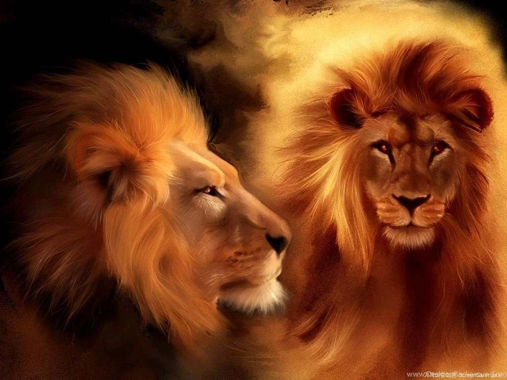 Lion Wallpapers Desktop 887 Awesome
