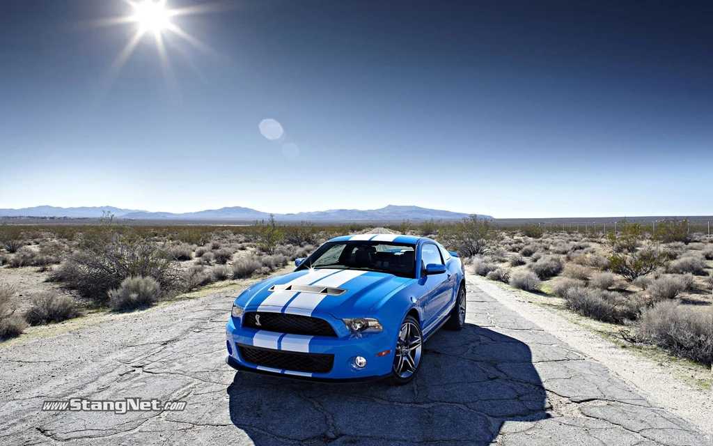 2010 Shelby GT500 Wallpapers StangNet