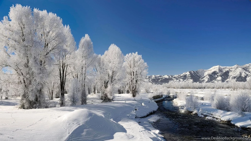 My wonderful winter life 1920x1080.jpg