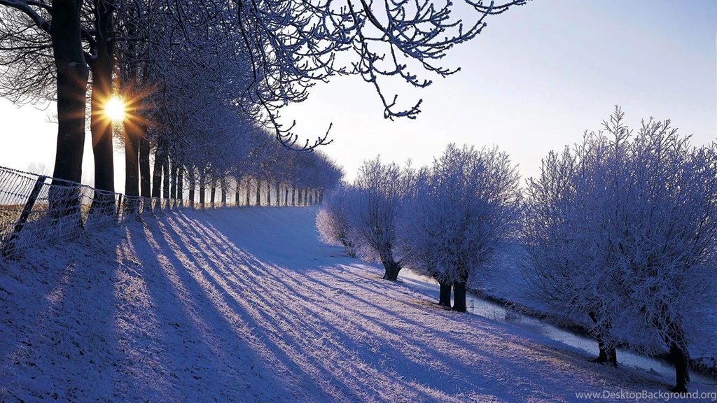 Winter Wallpapers HD