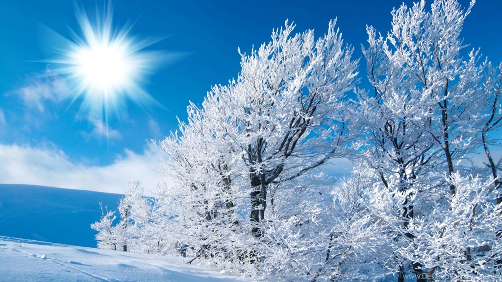 Winter Wallpapers Desktop