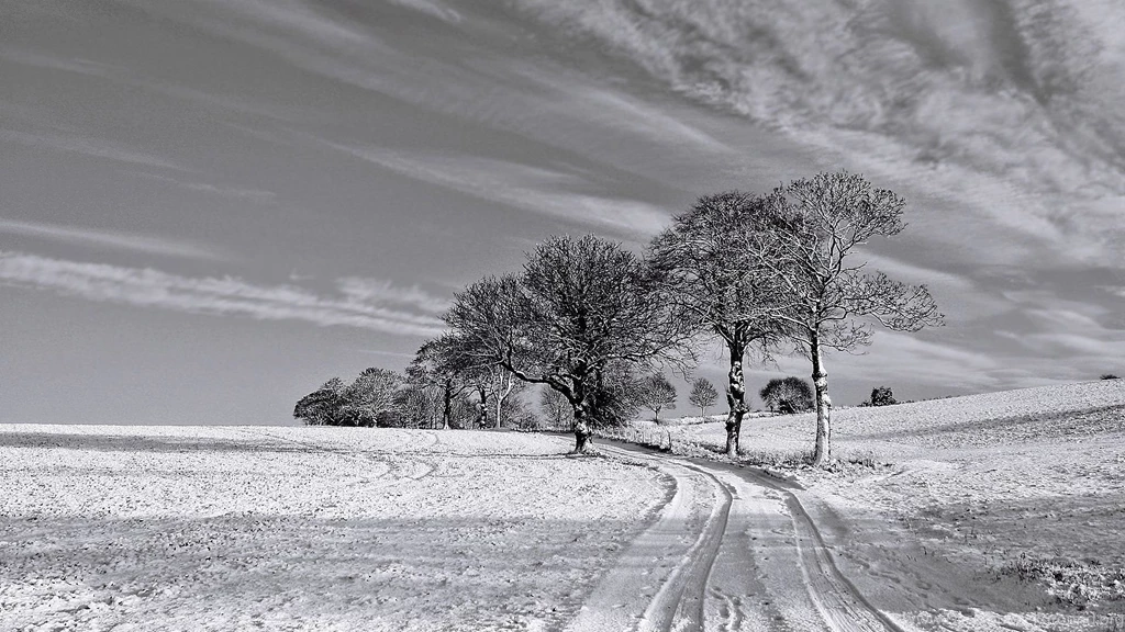 1920x1080 Black And White Winter Desktop PC And Mac Wallpapers